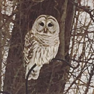 Meet your Posher, Val